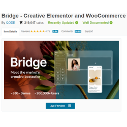 Bridge - Creative Elementor and WooCommerce WordPress Theme